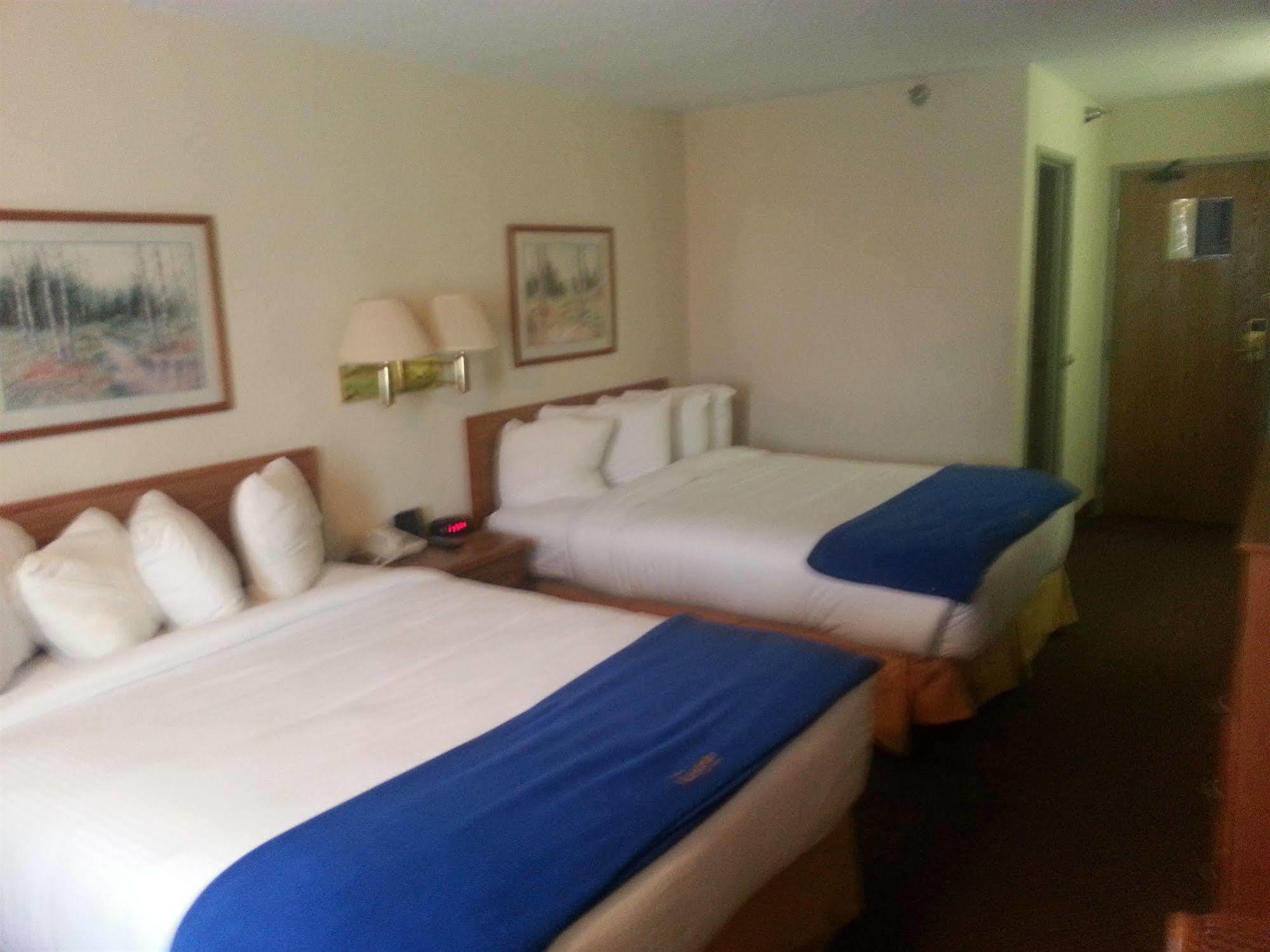 New Victorian Inn & Suites קירני מראה חיצוני תמונה